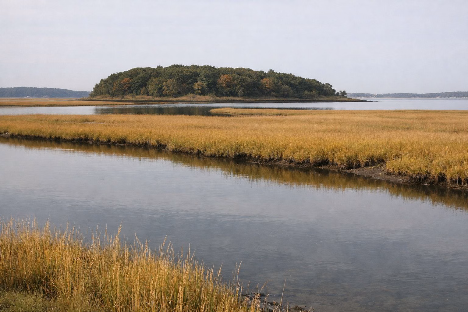 A low wooded island across a tidal river and salt marsh