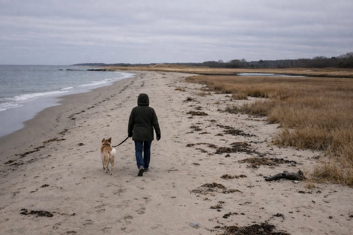 A person walking a leashed dog on an empty beach in the off-season