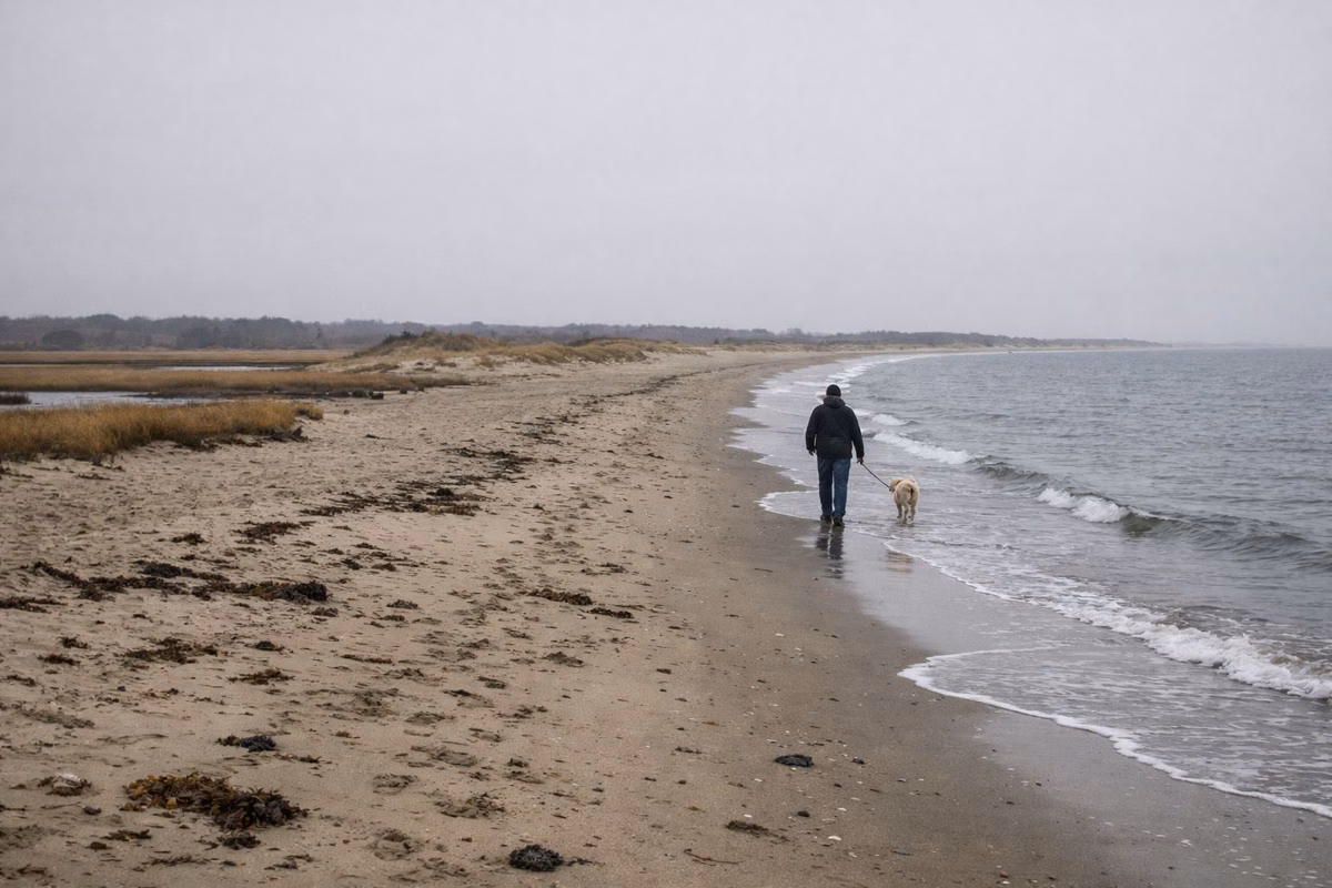 A person and a leashed dog walking along an empty beach in the off-season