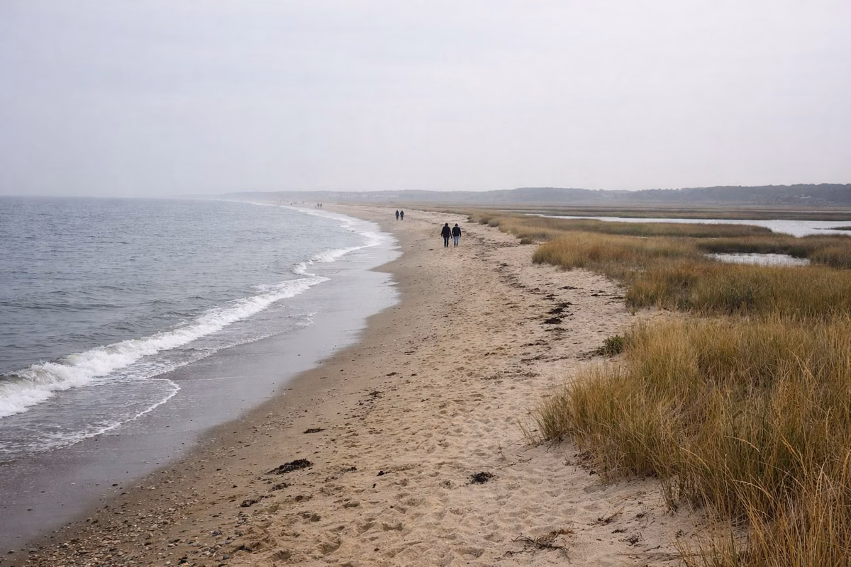 Walkers along a long curving shoreline fading into haze
