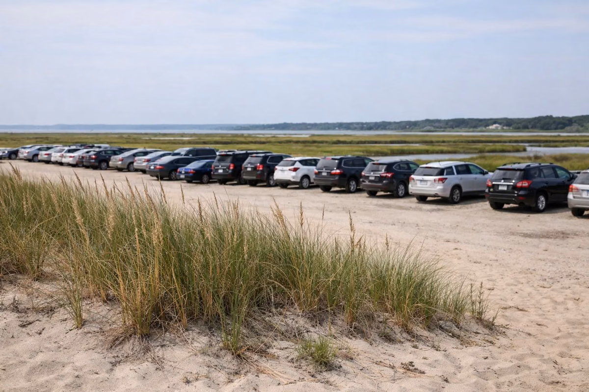 Rows of parked cars in a beach lot behind the dunes