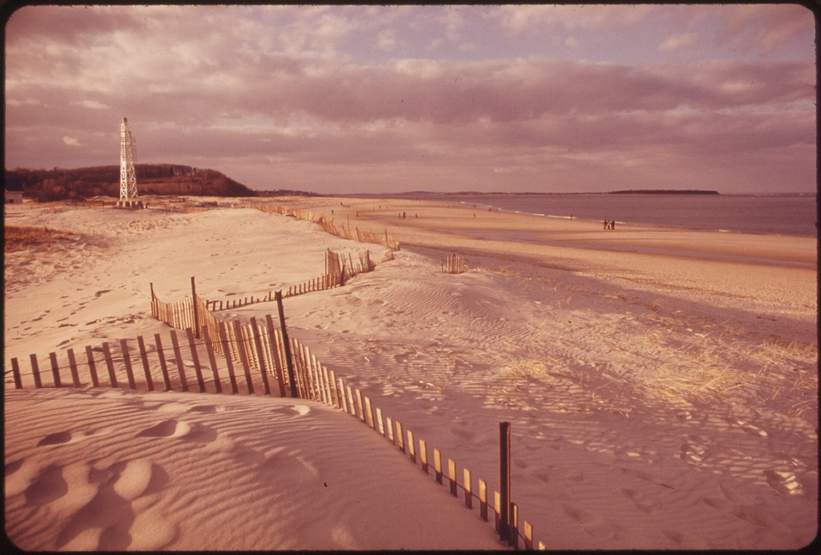 Crane Beach in 1973, with snow fencing along the dunes and the wide sand running to the water