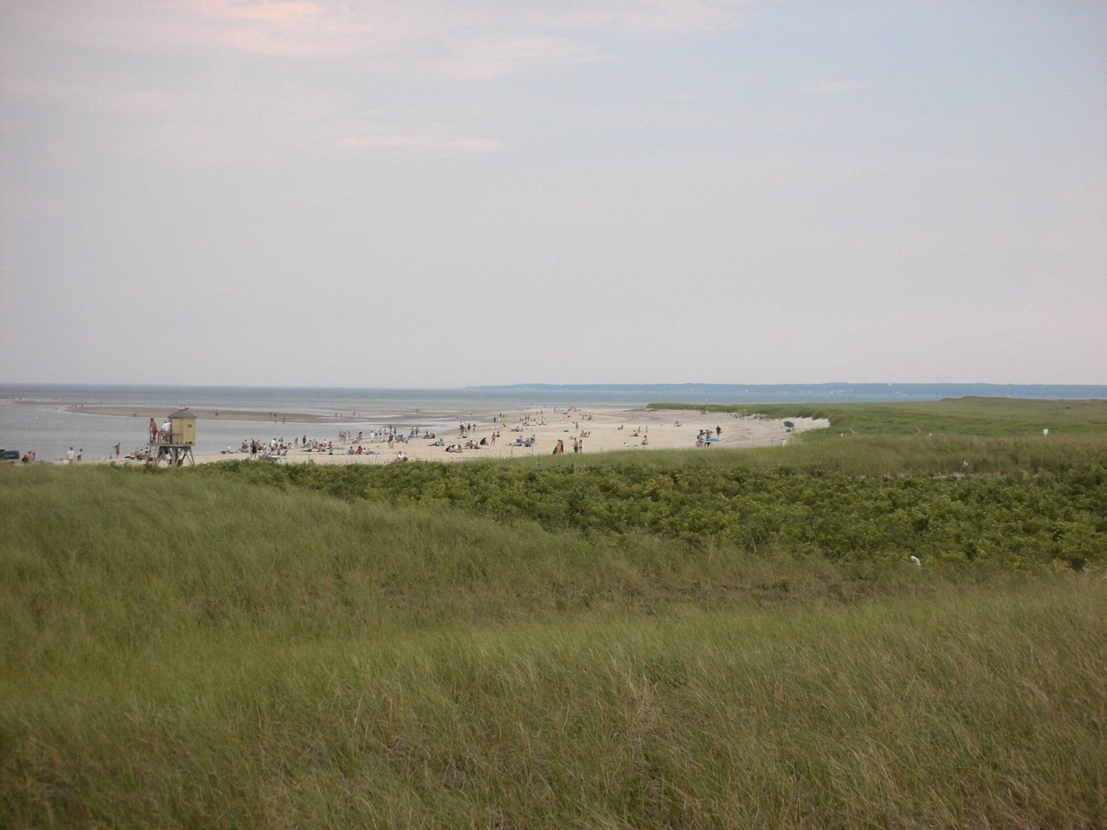 Dune grass in front of a busy summer day at Crane Beach, Ipswich