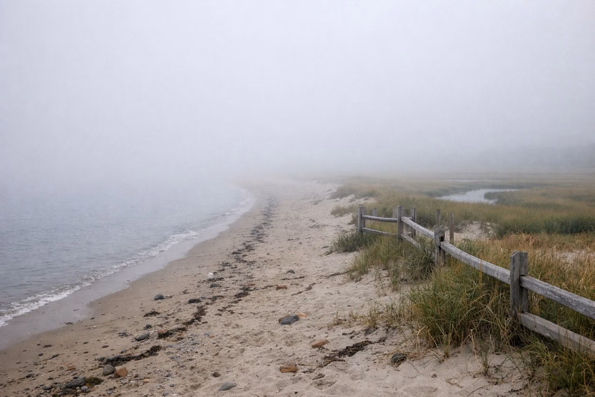 A beach fading into thick sea fog in the morning